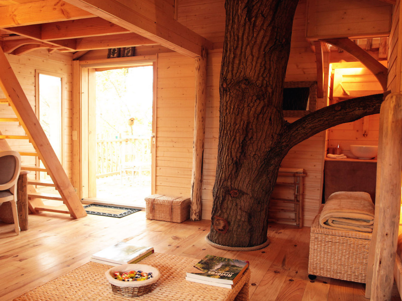 Cabane en bois avec un arbre à lintérieur et un intérieur chaleureux et lumineux.