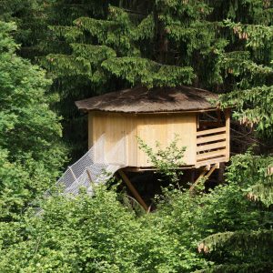 Cabane perchée en bois, entourée darbres verdoyants en Auvergne-Rhône-Alpes.
