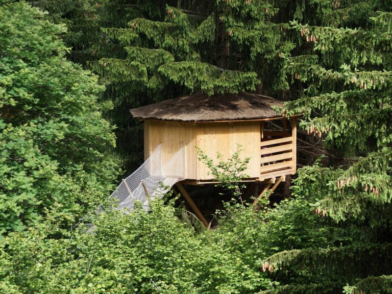 Cabane perchée en bois, entourée darbres verdoyants en Auvergne-Rhône-Alpes.