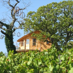 Cabane perchée en bois, entourée de vignes et darbres majestueux en Bourgogne.