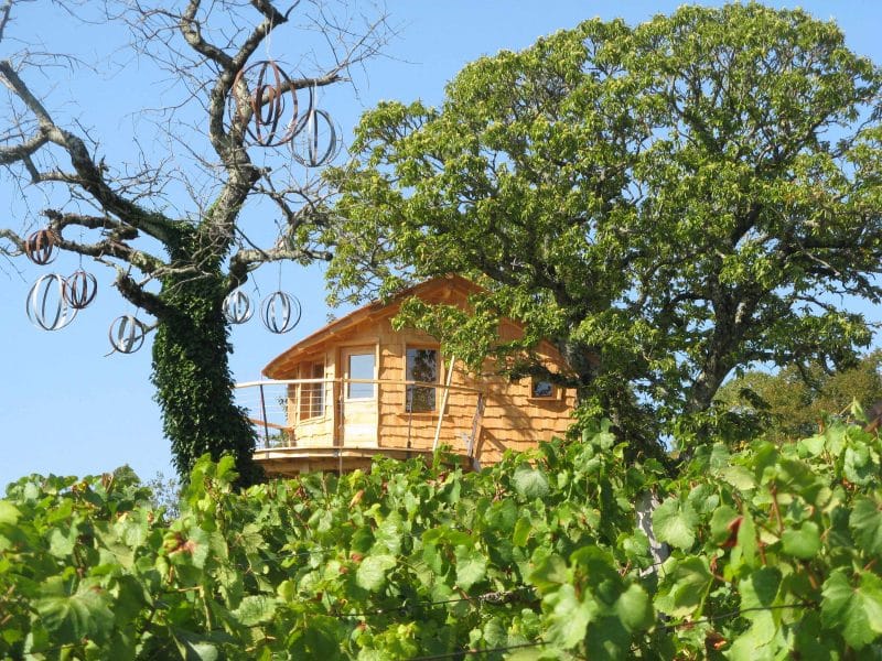 Cabane en bois perchée dans un arbre, entourée de vignes verdoyantes.