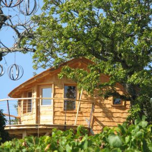 Cabane perchée en bois, entourée de vignes et darbres verdoyants.