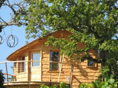 Cabane perchée en bois, entourée de vignes et darbres verdoyants.