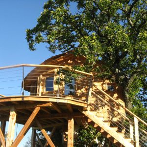 Cabane perchée en bois, entourée darbres, offrant une vue dégagée sur le ciel.
