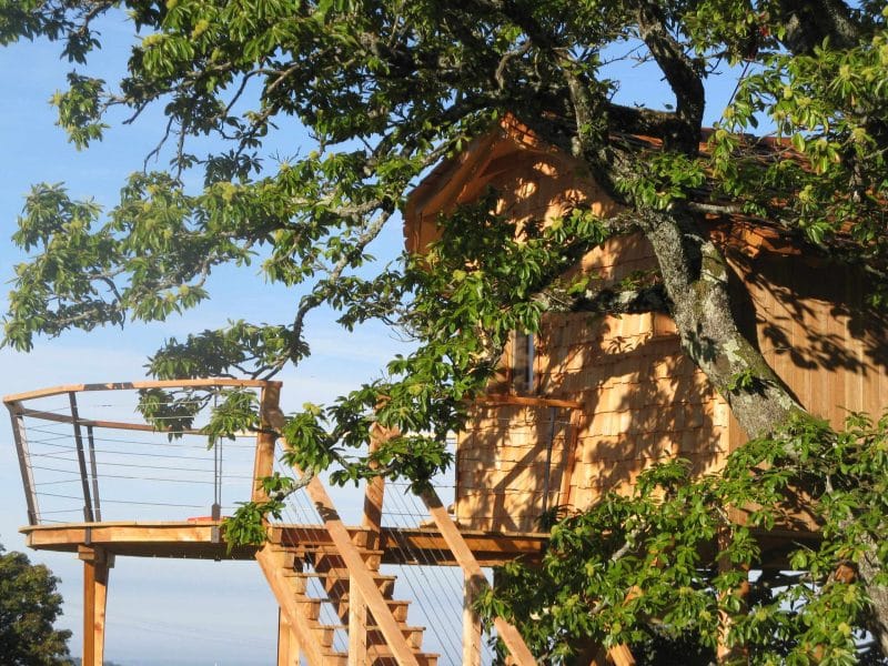 Cabane perchée en bois, entourée de verdure, avec une terrasse en bois.