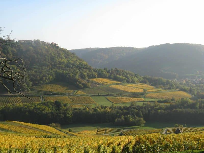 Chalet en pleine nature, offrant une vue panoramique sur des vignes dorées.