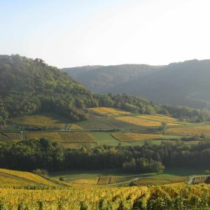 Hébergement insolite en pleine nature, avec vue sur les vignes et collines verdoyantes.