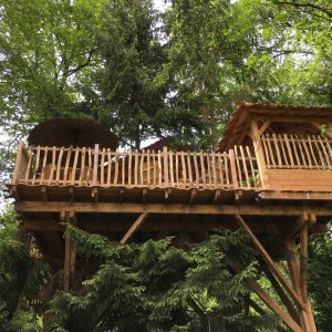 Cabane perchée dans les arbres, avec terrasse et parasol, entourée de verdure.