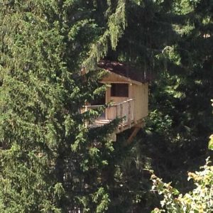 Cabane perchée dans les arbres, entourée de sapins verdoyants en Auvergne-Rhône-Alpes.