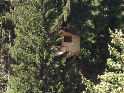 Cabane perchée dans les arbres, entourée de sapins verdoyants en Auvergne-Rhône-Alpes.