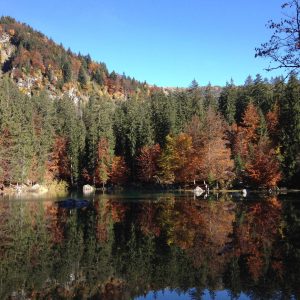 Hébergement insolite en Auvergne-Rhône-Alpes, au bord dun lac entouré de forêts colorées.