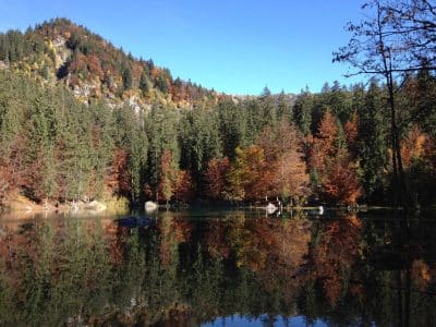 Hébergement insolite en Auvergne-Rhône-Alpes, au bord dun lac entouré de forêts colorées.