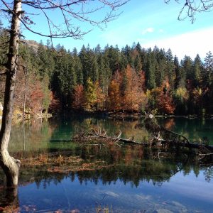 Hébergement insolite en Auvergne-Rhône-Alpes, au bord dun lac entouré de forêts colorées.