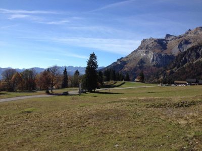Hébergement insolite en Auvergne-Rhône-Alpes, avec vue sur montagnes et prairies verdoyantes.