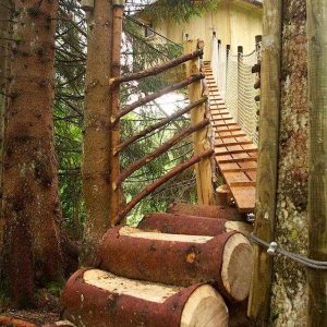 Cabane perchée dans les arbres, accès par un pont suspendu en bois.