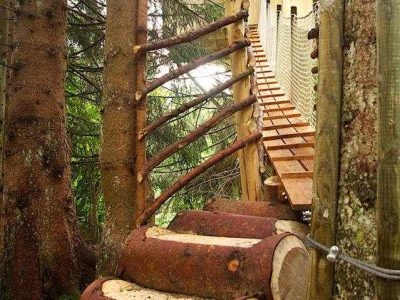 Cabane perchée dans les arbres, accès par un pont suspendu en bois.