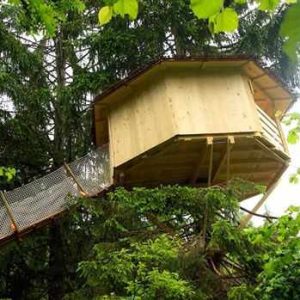 Cabane perchée dans les arbres, entourée de feuillage verdoyant en Auvergne-Rhône-Alpes.