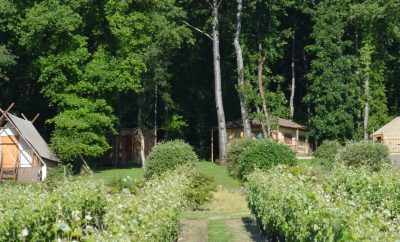 L’ABRI DES CHENES