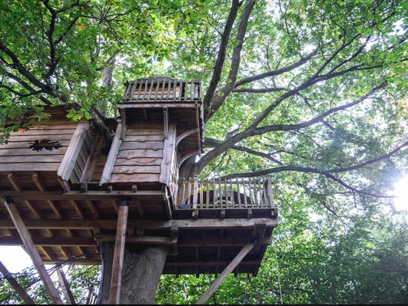Cabane dans les arbres, perchée entre les feuillages, offrant une vue imprenable.