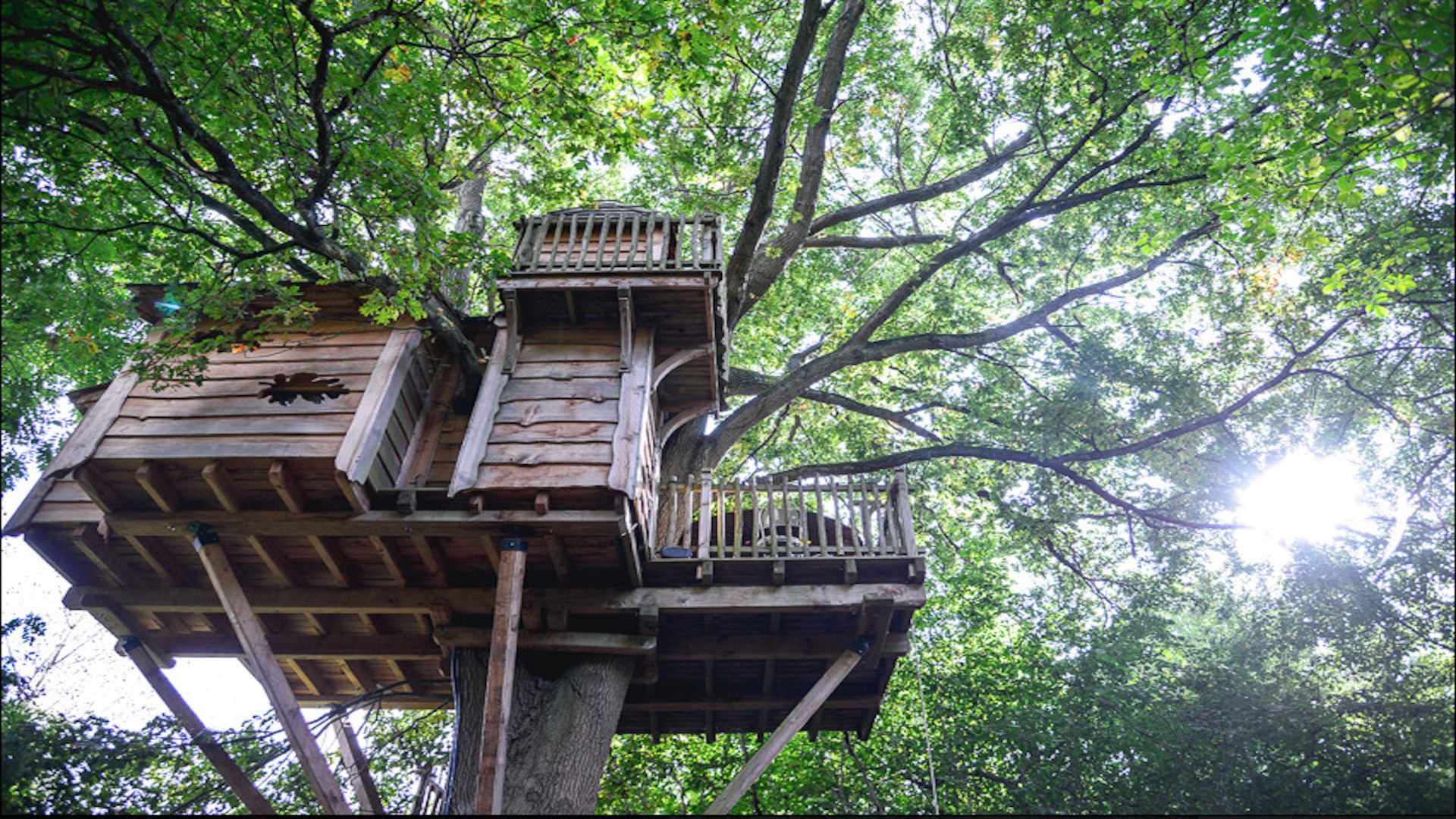 La Cabane perchée avec spa privatif - Cabanes de France