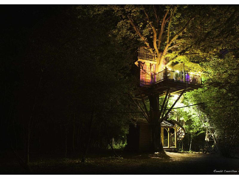 Cabane dans les arbres illuminée, perchée au cœur dune forêt paisible.