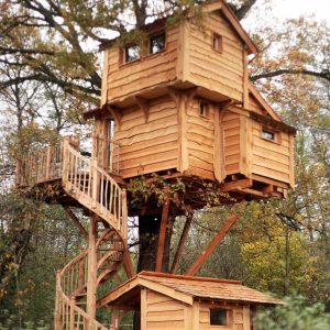 Cabane dans les arbres en bois, perchée au milieu dune forêt verdoyante.