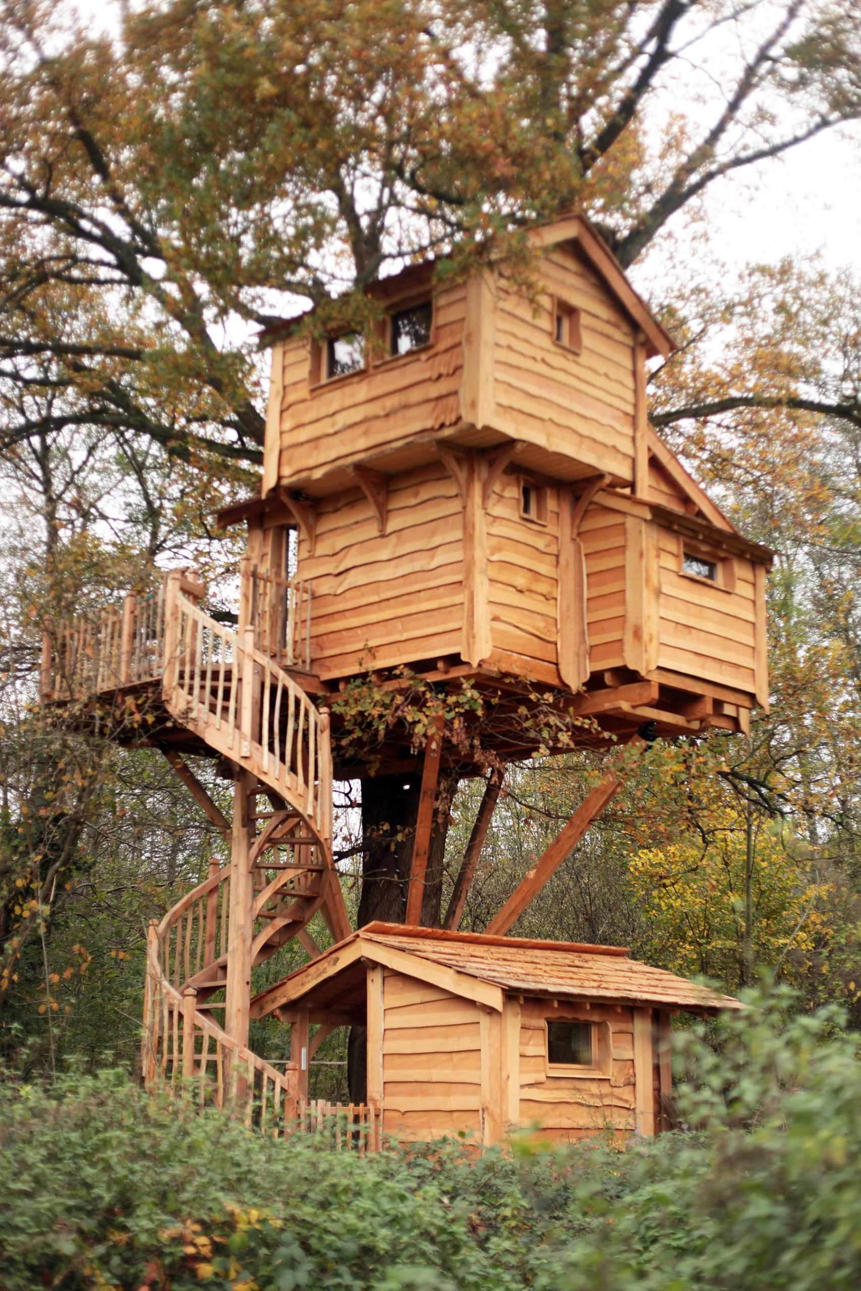 la-cabane-de-la-riviere-de-dos Cabane dans les arbres en bois, perchée au milieu dune forêt verdoyante.