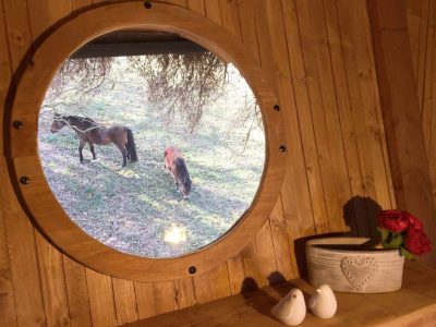 Cabane en bois en Bourgogne avec vue sur des chevaux à travers une fenêtre ronde.
