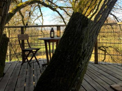 Cabane perchée en Bourgogne, avec un tronc darbre traversant la terrasse en bois.