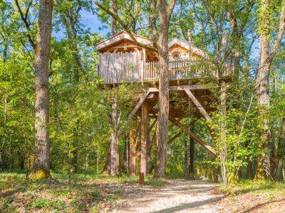 Cabane perchée dans les arbres, entourée de verdure, offrant une vue apaisante.