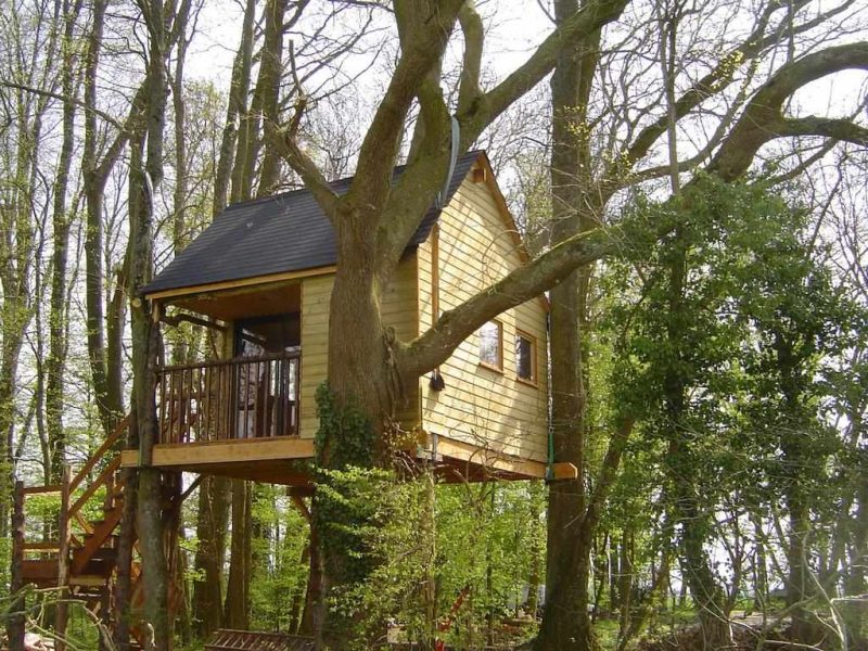Cabane perchée dans les arbres, entourée de verdure luxuriante à Champagne-Ardennes.