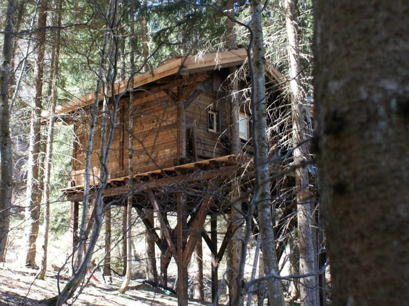 Cabane perchée en bois, nichée entre les arbres en Auvergne-Rhône-Alpes.