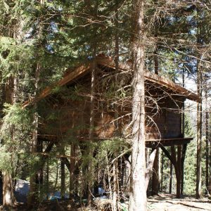 Cabane perchée en bois, nichée parmi les arbres en Auvergne-Rhône-Alpes.