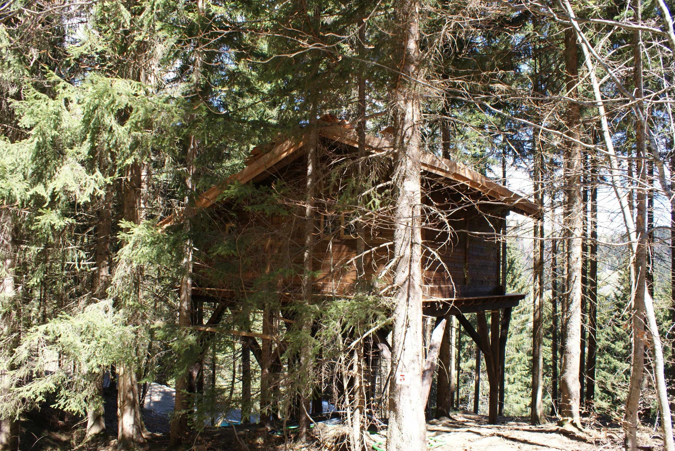 DSC02907 Cabane perchée en bois, nichée parmi les arbres en Auvergne-Rhône-Alpes.