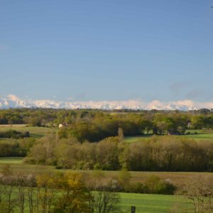 Cabanes dans les arbres- Au Bois d'Emma et Loue