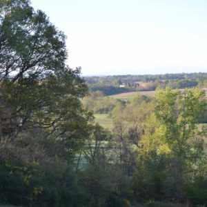 Cabanes dans les arbres- Au Bois d'Emma et Loue