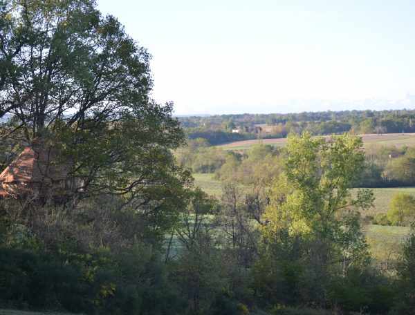 Cabanes dans les arbres- Au Bois d'Emma et Loue