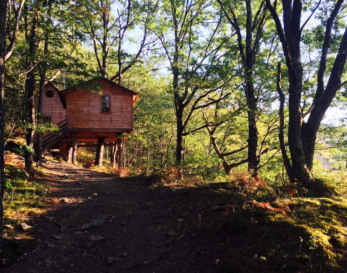 Cabane en bois perchée dans les arbres, entourée de verdure au Limousin.