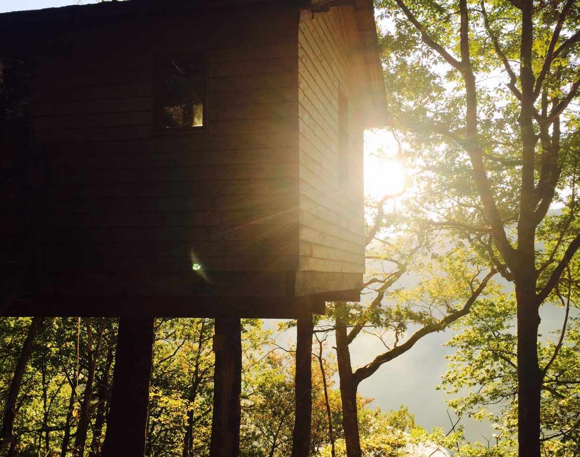 Cabane perchée dans les arbres, baignée de lumière matinale au cœur de la forêt limousine.
