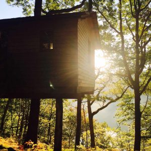 Cabane perchée dans les arbres, baignée de lumière matinale au cœur de la forêt limousine.