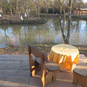 Hébergement insolite en Champagne-Ardenne, avec terrasse surplombant un étang paisible.
