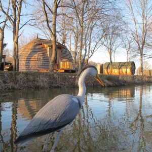 Hébergement insolite en forme de dôme au bord de leau, entouré darbres.