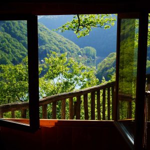 Cabane perchée en Limousin, vue panoramique sur la vallée verdoyante.