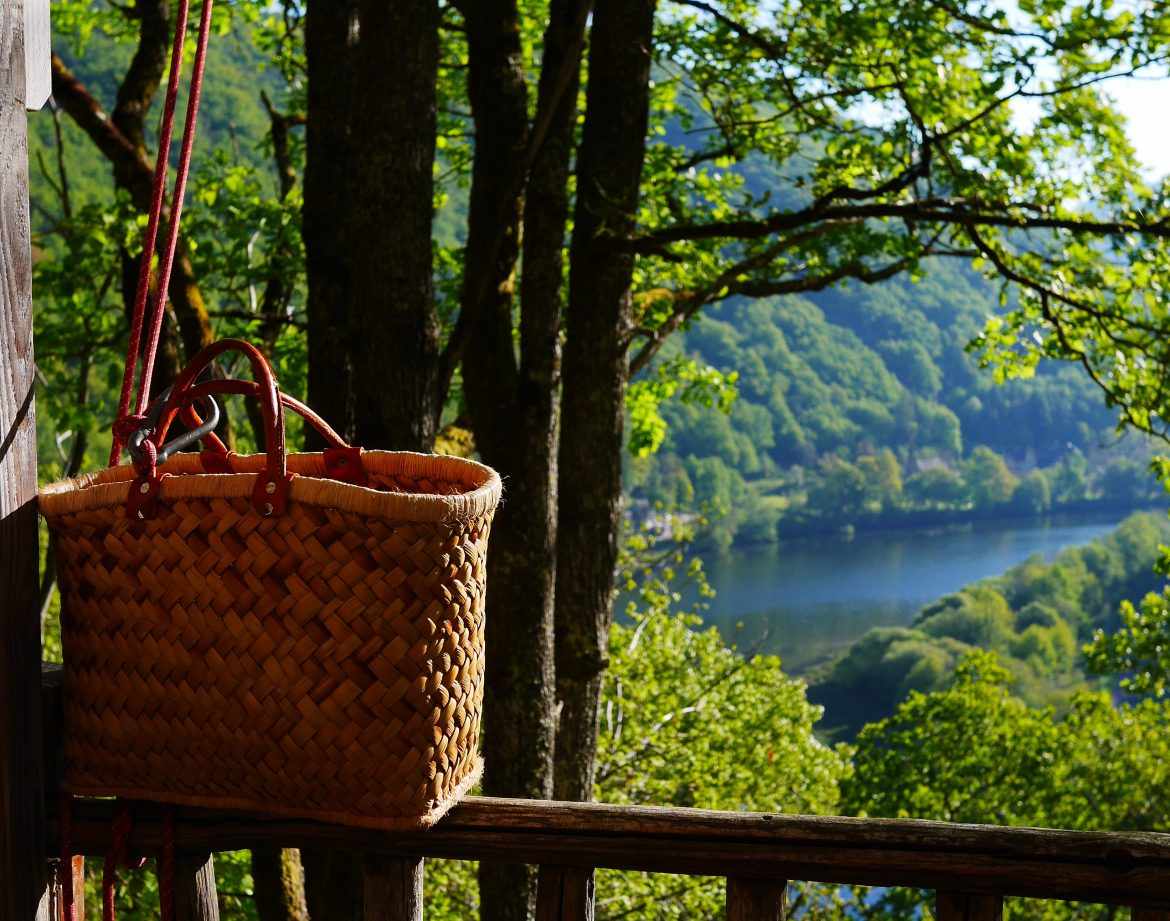 Cabane perchée dans les arbres, vue panoramique sur la vallée verdoyante.