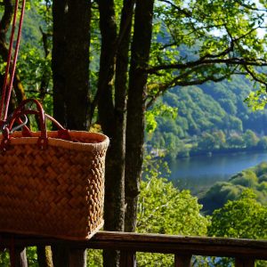 Cabane perchée dans les arbres, vue panoramique sur la vallée verdoyante.