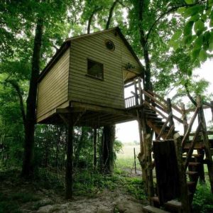 Cabane perchée dans les arbres, entourée de verdure, avec un accès par un escalier en bois.