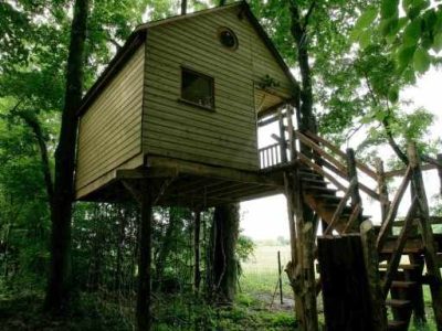 Cabane perchée dans les arbres, entourée de verdure, avec un accès par un escalier en bois.