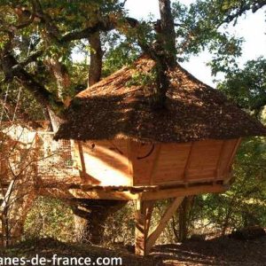 Cabane perchée en bois, nichée dans les arbres, au cœur de la nature provençale.