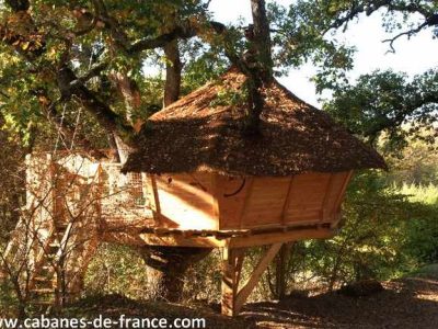 Cabane perchée en bois, nichée dans les arbres, au cœur de la nature provençale.