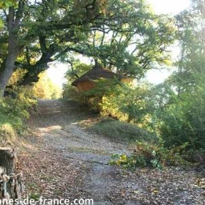 Cabane perchée en bois, entourée darbres verdoyants en Provence-Alpes-Côte dAzur.
